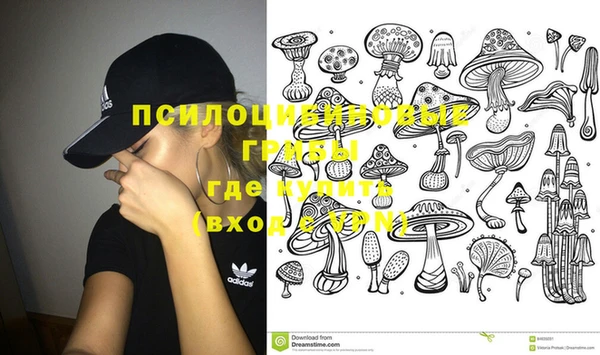 мяу мяу мука Алексеевка