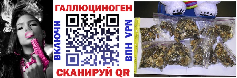 Псилоцибиновые грибы прущие грибы  Дзержинский 